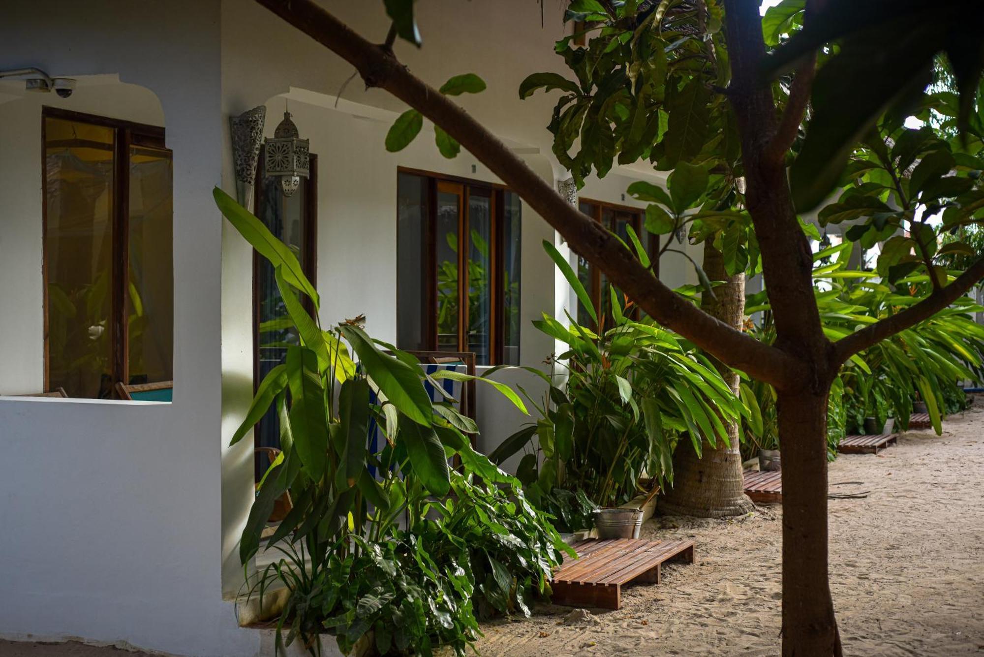 Badolina Bungalows Nungwi Exterior photo
